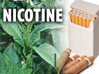 nicotine drug test pass drugs